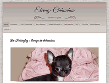 Tablet Screenshot of elevage-chihuahua.com